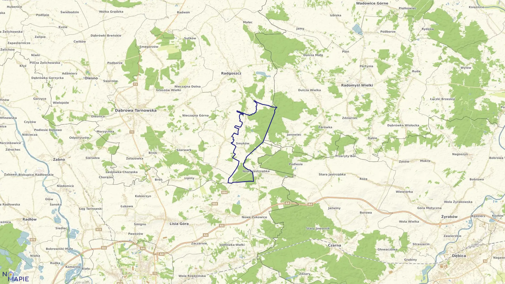 Mapa obrębu Smyków w gminie Radgoszcz